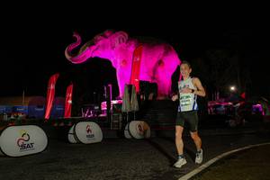 BIB: 
                            <button type="button" onclick="openModal(26534462)" class="btn btn-primary btn-sm float-right btn-popup" data-toggle="modal" data-target=".modal-high-quality">
                        <i class="fas fa-shopping-cart"></i> Add to Cart
                    </button>
                                            <button type="button" onclick="isThisMe(26534462, true)" class="btn btn-success btn-sm float-right btn-popup btn-isme hidden" data-toggle="tooltip" data-placement="bottom" title="นี่คือรูปของคุณใช่ไหม คลิกที่นี่เพื่อเอาเข้าอัลบั้ม">
                        <i class="fas fa-plus"></i> Add to album
                    </button>
                    <button type="button" onclick="isThisMe(26534462, false)" class="btn btn-warning btn-sm float-right btn-popup btn-isnotme hidden">
                        <i class="fas fa-ban"></i> Remove from album
                    </button>